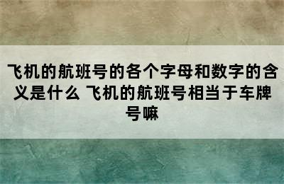 飞机的航班号的各个字母和数字的含义是什么 飞机的航班号相当于车牌号嘛